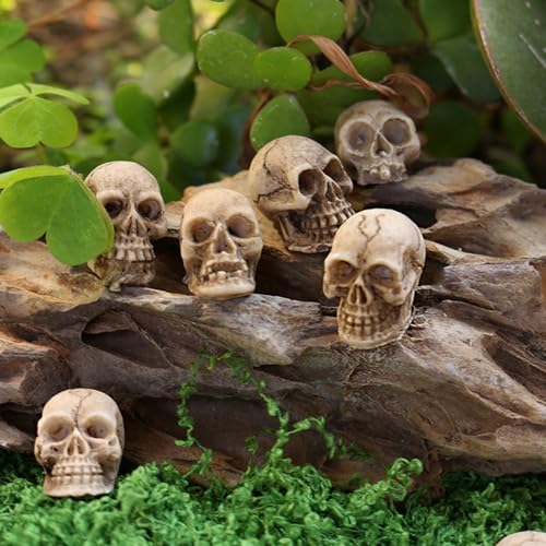 40Pcs Mini Skulls, Realistic Resin Skull, Scary Skeleton Head Halloween Miniatures for Micro Landscape Figure Scary Haunted Dollhouse Accessories