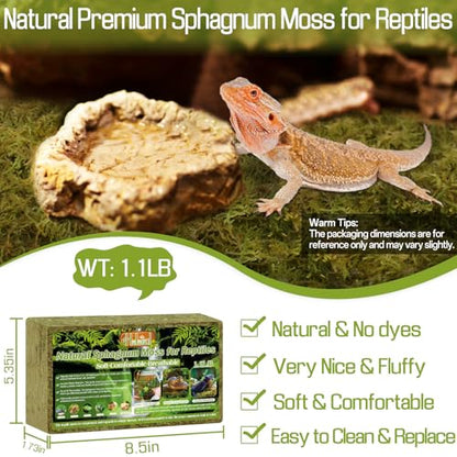 Halatool 1.1 LB Sphagnum Moss for Reptiles - Green Terrarium Moss | Expands to 25 QT, Reptile Bedding for Snakes, Tortoises, Geckos, Lizards, Humidity Retention & Temperature Buffering - size: 1.1LB