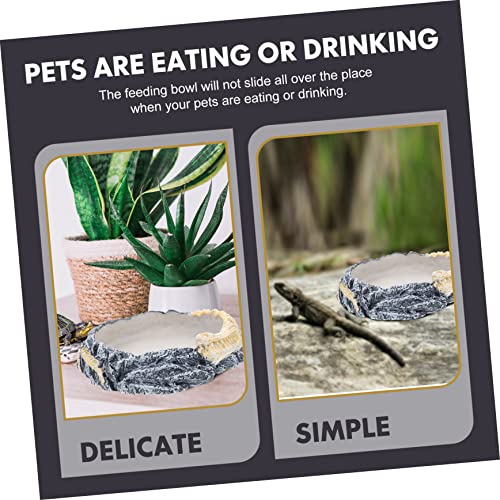 Sosoport Convenient Reptile Bowl Water Dish for Turtles Lizards and Snakes Feeding Accessory Natural Appearance for Reptile Tanks
