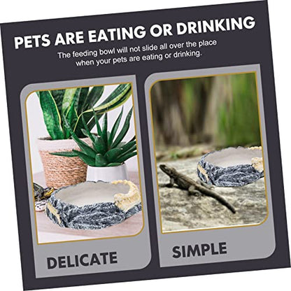 Sosoport Convenient Reptile Bowl Water Dish for Turtles Lizards and Snakes Feeding Accessory Natural Appearance for Reptile Tanks