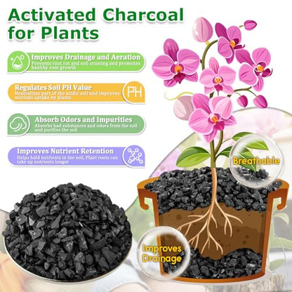 Legigo 10QT All Natural Horticultural Charcoal- Activated Hardwood Plant Charcoal for Soil Amendment, Conditioning Bonsai Soil, Succulent, Terrarium Supplies, Indoor Plant Potting Soil - color: 10 QT