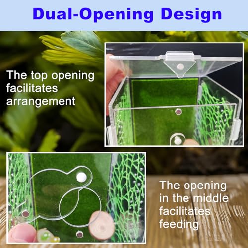 Acrylic Jumping Spider Enclosure,Reptile Enclosure,Bug Habitat, for Small Tree Dwelling Reptiles,Arboreal Tarantula Enclosure, Spider Terrarium Kit,Plastic Terrarium(4.7" X 4.7" X 8") - color: A1