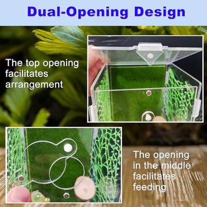 Acrylic Jumping Spider Enclosure,Reptile Enclosure,Bug Habitat, for Small Tree Dwelling Reptiles,Arboreal Tarantula Enclosure, Spider Terrarium Kit,Plastic Terrarium(4.7" X 4.7" X 8") - color: A1