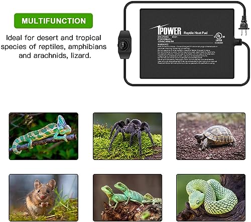 iPower 6 by 8 Inch Reptile Heating Pad with Temperature Adjustable Controller Knob, Under Tank Warmer Terrarium Heat Mat for Reptiles and Amphibians - size: 6 X 8 Inch