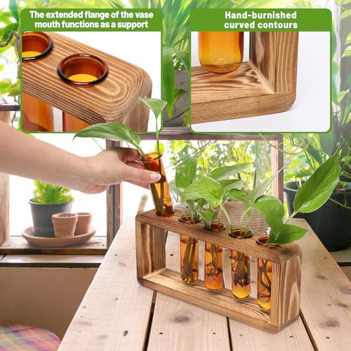 Glass Plant Propagation Station with 5 Test Tubes Colorful Planter Vase Birthday Gifts for Women in Wooden Stand - color: Amber