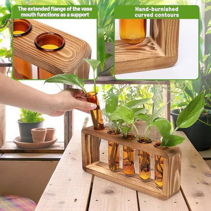 Glass Plant Propagation Station with 5 Test Tubes Colorful Planter Vase Birthday Gifts for Women in Wooden Stand - color: Amber