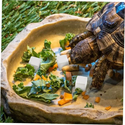 Kisangel 30pcs Natural for Turtles Tortoises Frogs Lizards Chameleons Promotes Growth Bone Strength Vitality