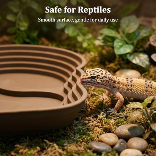 Reptile Bathing Pool, Right-Angle Detachable Design for Easy Water Changes, Internal & External Ramps for Easy Access, ABS Smooth Easy-Clean Water Dish for Small Reptiles
