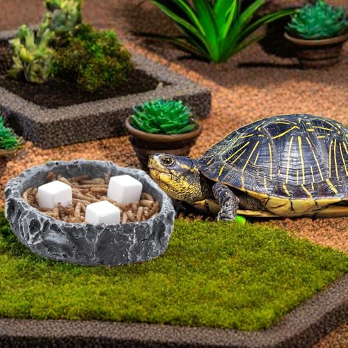 DQITJ 18 Pcs Small Reptile Calcium Stone Natural Calcium Mineral for Reptiles Turtle Tortoise Lizard Frog Chameleon (3 Pack)