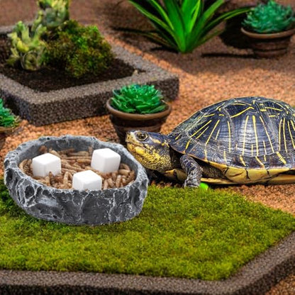 DQITJ 18 Pcs Small Reptile Calcium Stone Natural Calcium Mineral for Reptiles Turtle Tortoise Lizard Frog Chameleon (3 Pack)