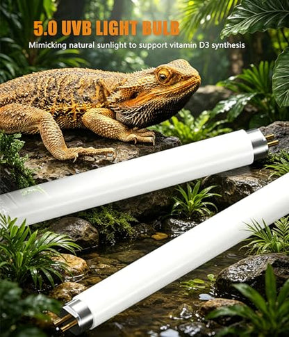 2 Pack 8 Watt 5.0 UVB T5 Reptile Light Tube 12 Inch Dual Pack UVA UVB Fluorescent Basking Lamp for Chameleon Reptile Pet Daily Lighting