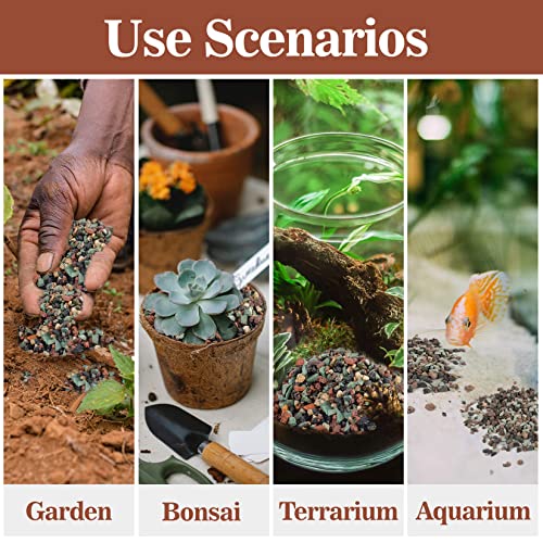 Sukh 1LB Horticultural Succulent Granule Soil - Succulent Rocks Bonsai Mix Lava Rocks Cactus Soil Potting Mix Amendment (Pack of 2) - size: 1LB (Pack of 2)