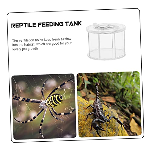 COLLBATH Transparent Reptile Breeding Box with Ventilation Feeding Case for Spiders Geckos and Snakes Durable Acrylic Habitat for Pet Display and Observation