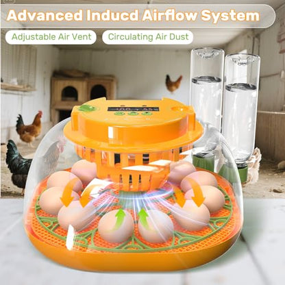 Incubators for Hatching Eggs, 12 Egg Incubator with Automatic Egg Turning and Humidity Control, Egg Candler, Auto Water Replenishment, Air Vent, for Hatching Chicken Duck Quail Goose Eggs