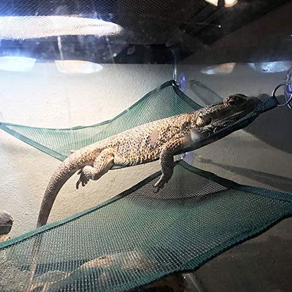 ADOGGYGO Bearded Dragon Lizard Hammock, Reptile Lounger Ladder, Bearded Dragon Hammock Accessories for Geckos Lizards Reptile (Green)