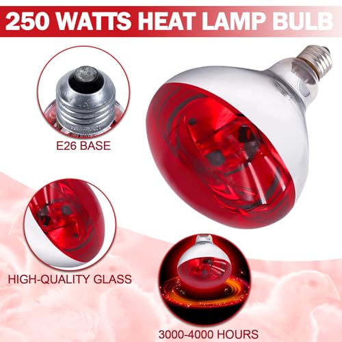 250 Watt R40 Red Heat Lamp Bulbs (2-Pack) - Infrared Incandescent Light Bulb for Chickens, Chicks, Reptiles, Pets, Poultry, Brooder, Coop, Bathroom & Sauna - E26 Base, 120V
