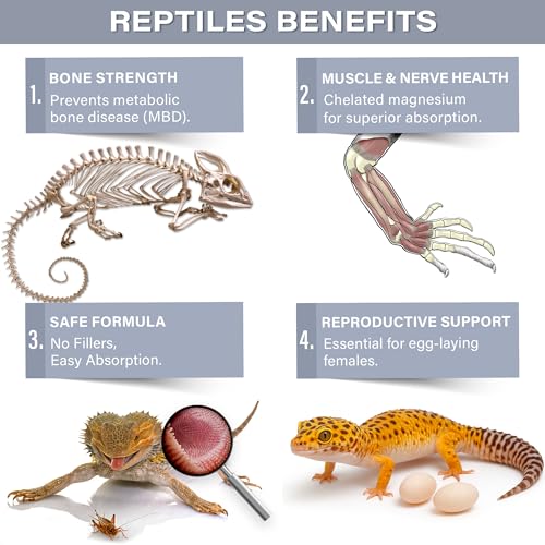 Gargeer 'Magnesium & Calcium' Supplement for All Reptiles | Dual Mineral Support for Strong Bones, Muscle & Nerves Function | Chelated Magnesium for Better Absorption | 3oz | Made in USA