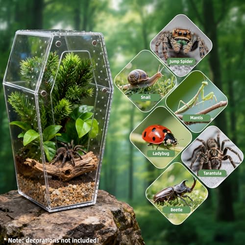Jumping Spider Enclosure, No Installation Insect Terrarium with Magnetic Door & All-Side Ventilation, Bug Enclosure for Tarantula, Snail, Beetle and Small Reptiles