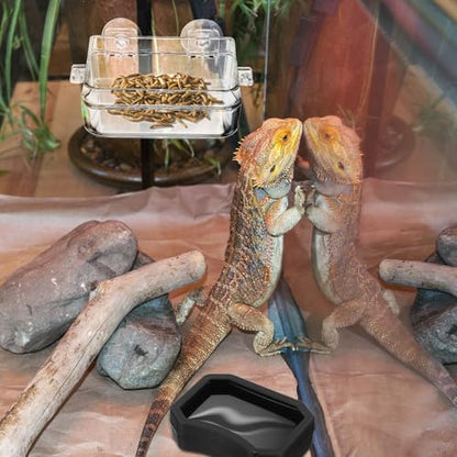 BESPORTBLE 2pcs Reptile Feeder Feeding Bowl Set with Strong Suction Cup for Frogs and Spiders, Plastic Water and Food Dish Adsorbed on Smooth Surfaces for Feeding and Watering