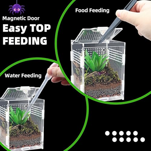 Acrylic Jumping Spider Enclosure with Magnetic Top & Escape-Proof Vents - Small Critter Keeper 4.5x3.3x3.3 Inch for Hermit Crab Frog Tarantula Mantis - Reptile Tank Habitat High Clarity Terrarium