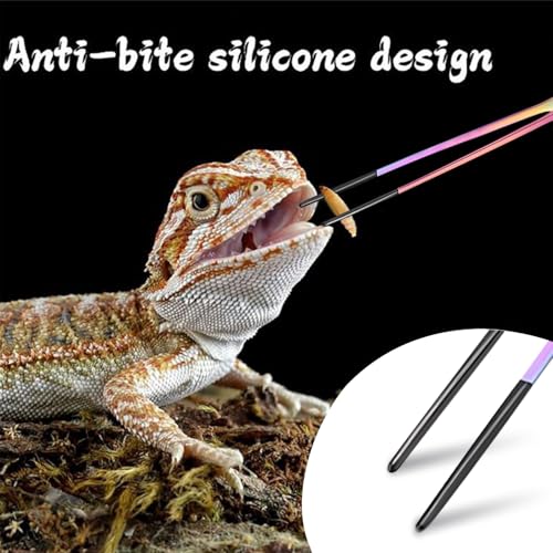 Reptile Feeding Tongs - Stainless Steel Clamp | Long Tongs With Rubber Tip for Bearded Dragons, Lizards, Amphibians, Reptiles, Aquarium, Terrarium, Tank, Supplies - color: TO