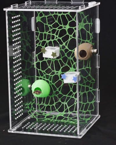 3 Pcs Magnetic Jumping Spider Feeding Dish Jumping Spider Enclosure Accessories Star-Shaped Design Reptile Water Bowl for Other Small Reptiles or Insects (Transparent + Blue) - color: Transparent + Blue