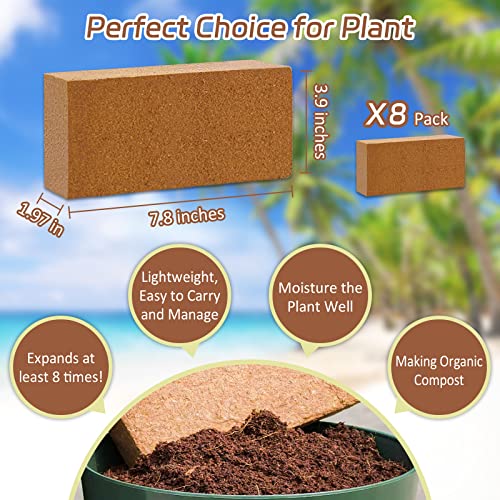 Riare 8pcs Organic Coco Coir Bricks Soil Blocks- 100% Natural Compressed Coco Peat Brick Coconut Fiber Substrate with Low EC& pH Balance, High Expansion Coco Coir Pith Coconut Husk for Garden - color: Pack of 8