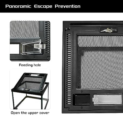 Mini Reptile Glass Terrarium Tank 8 * 8 * 6" Full View, Amphibians Box Habitat Enclosure Cage for Frog,Spiders,Dubia Cockroach,Praying Mantis,Cricket,Tarantula,Hermit Crab - size: 8*8*6inch