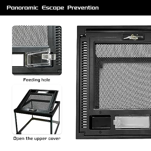 Mini Reptile Glass Terrarium Tank 8 * 8 * 6" Full View, Amphibians Box Habitat Enclosure Cage for Frog,Spiders,Dubia Cockroach,Praying Mantis,Cricket,Tarantula,Hermit Crab - size: 8*8*6inch