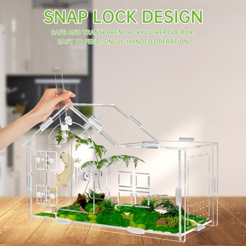 Acrylic Jumping Spider Enclosure, Jumping Spider Terrarium, Versatile Reptile Enclosure for Tarantula, Gecko, Hermit Crab Tank - color: transparent-A