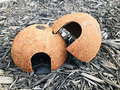 Hexagrowth Coco Hut, Betta Fish cave, Shrimp Hideout, Pleco shelter, Coconut Shell for Hermits, Toad, 2 Packs