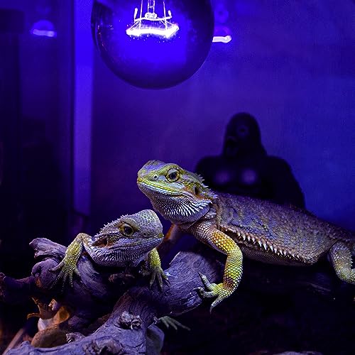 REPTI ZOO 2PCS Reptile Night Heat Lamp, 50W Moonlight Heat Bulb Infrared Heating Light Purple Reptile Heat Lamp Night Bulb for Bearded Dragon, Lizard, Snake, Turtle - style: 50W Night Heat Lamp