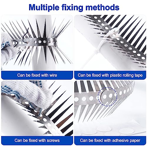 Bird Spikes - Stainless Steel Fence Spikes for Pigeons, Raccoons, Snakes - Deterrent Defender (60inch) - style: 60inch