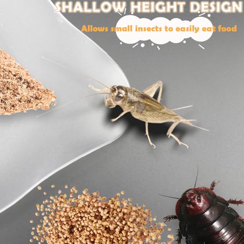 5 Pcs Cricket Feeding Bowl Plastic Feeder Transparent Eating Basin for Cricket Dubia Cockroach Cherry Cockroach Snail Crab Insect