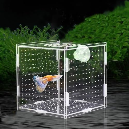 PINVNBY Acrylic Fish Breeding Box，Guppy breeding Box Acrylic Fish Isolation Box Aquarium Incubator with Suction Cups for Guppy Shrimp Small Baby Fishes（3.9 x 3.9 x 3.9 inches） - size: S(3.9 * 3.9 * 3.9in)
