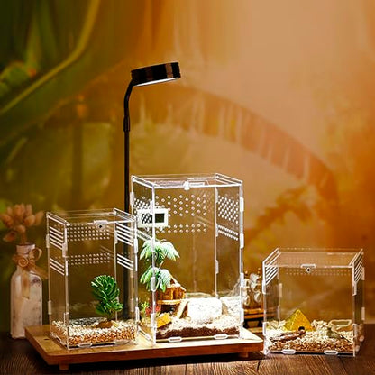 Mini Reptile Terrariums Tank, Tarantula Enclosure, Chameleon cage, Amphibians Habitat Cages for Small Reptiles, Geckos, Snakes, Lizards, Turtles, Serpents -Acrylic(4.7 * 4.7 * 8 inchs) - color: 1#