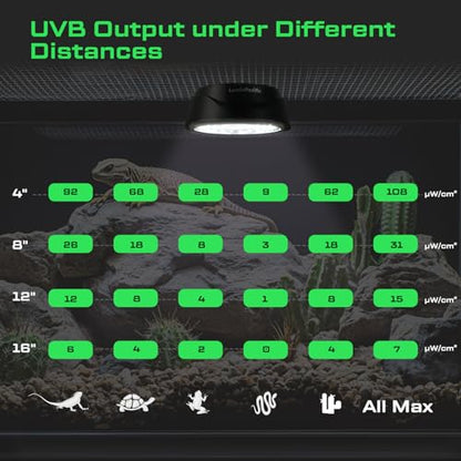 UVB Reptiles Light with Remote, UVA UVB FR Lamp for Rainforest & Desert Reptiles, Ferguson Zones 1-4, Timer Switch, 10 Dimmable, for Bearded Dragon, Turtle, Frog, Snake, Plant (1 Pack) - color: 1 Pack