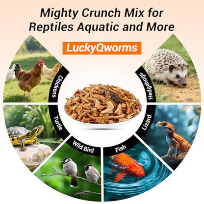 Mighty Crunch Mix Aquatic Turtle Food - 1 Lbs Resealable Bag of High Protein Insect Blend, Dried Mealworms, River Shrimp, Crickets - for Turtles, Reptiles & Amphibians, Chicken, Birds