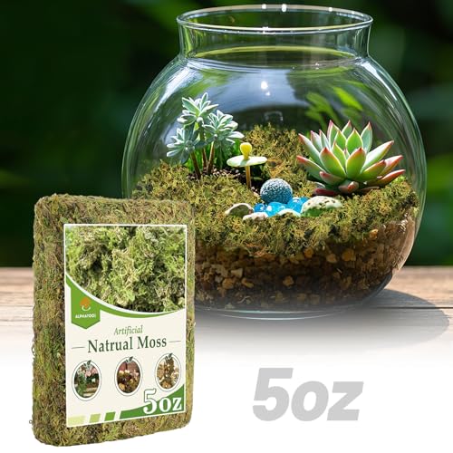 Alphatool 5oz Natural Green Moss for Crafts Beginners - Starter Moss for Plants Indoor, Artificial Fairy Gardens, Mini Mosswall, Glass Terrariums, Filling Fake Plants, Home Decoration - color: 5 Oz
