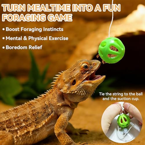 Bearded Dragon Hammock and Feeder Ball Set - 2 Pack Red Mesh Lizard Lounger Bed with Strong Suction Cups, Interactive Reptile Toy for Climbing, Basking & Foraging Tank Accessories