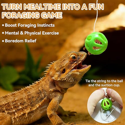 Bearded Dragon Hammock and Feeder Ball Set - 2 Pack Red Mesh Lizard Lounger Bed with Strong Suction Cups, Interactive Reptile Toy for Climbing, Basking & Foraging Tank Accessories