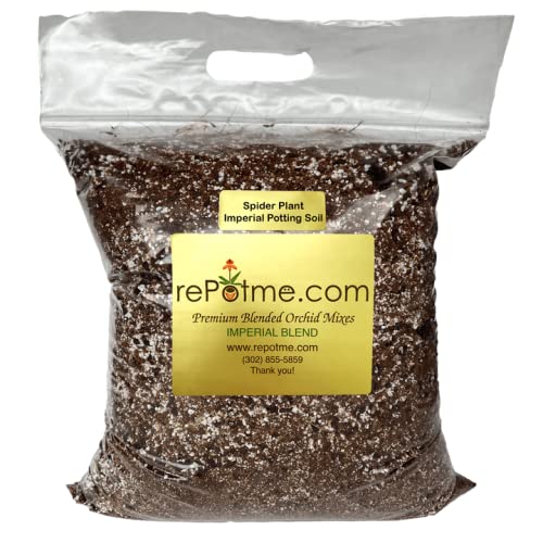 Spider Plant Imperial Houseplant Potting Soil Mix by rePotme - Junior Bag (4 Quarts) - color: Spider Plant, size: Junior Bag - 4 Quarts