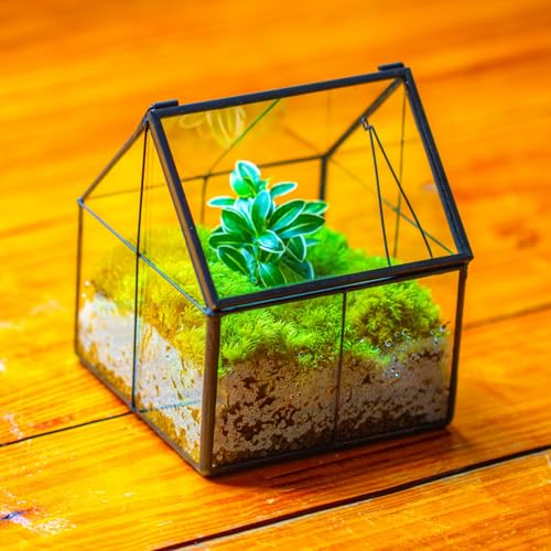 NCYP Mini Glass Terrarium with Lid - 4.25" x 4.25" x 4.92" House Shape Close Geometric Planter Pot for Mini Succulents Plant, Moss - Handmade, Home Garden Office Decor, Black (Terrarium Only) - size: 4.25x4.25x4.92 inches