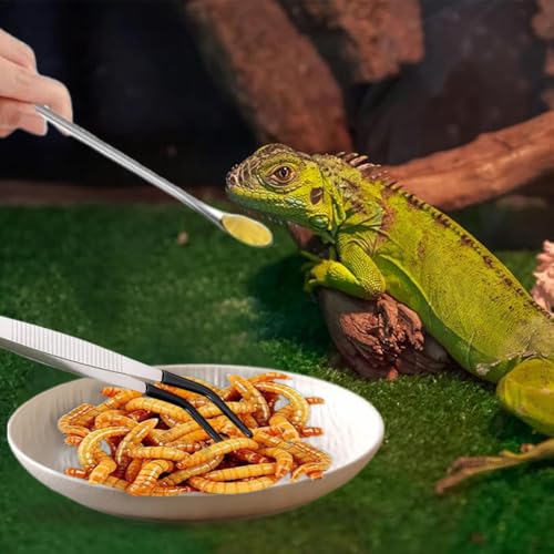 Ouliget Reptile Feeding Tool Set,Rubber Tip Straight Curved Feeding Tongs Tweezers Feeding Spoon,Small Reptile Food Plastic Dish Bowl for Geckos Lizards Bearded Dragons