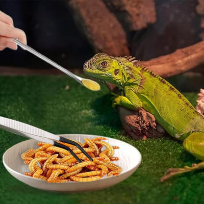 Ouliget Reptile Feeding Tool Set,Rubber Tip Straight Curved Feeding Tongs Tweezers Feeding Spoon,Small Reptile Food Plastic Dish Bowl for Geckos Lizards Bearded Dragons
