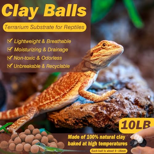 ZeeDix 10 LBS Reptile Substrate Leca Balls - 100% Organic Expanded Clay Pebbles, Ideal Bioactive Terrarium Clay Balls Substrate for Reptile Terrarium Tank, Bearded Dragon, Tortoise, Gecko, Snake &Frog - color: 10LBS