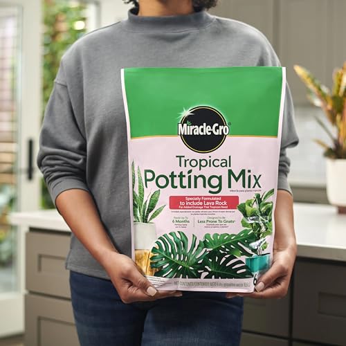 Miracle-Gro Tropical Potting Mix, For Container Plants, Use with Snake Plants, Spider Plants, Pothos, Monstera, 6 qt., 3-Pack - size: 3 Pack, style: Potting Mix
