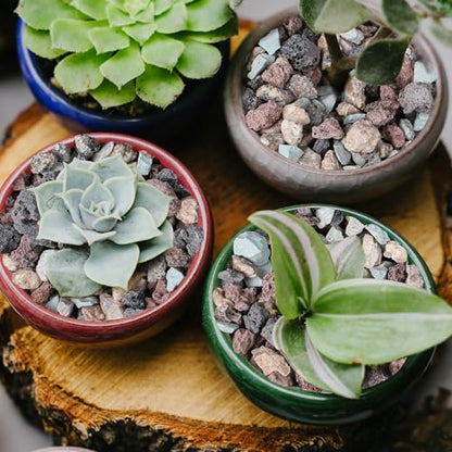 6lbs Mix Horticultural Lava Rocks for Plants, 3/8 Inch Potting Soil Amendment for Succulents, Cacti, Bonsai, Decorative Gravel Plant Drainage Volcanic for Terrarium, Top Dressing