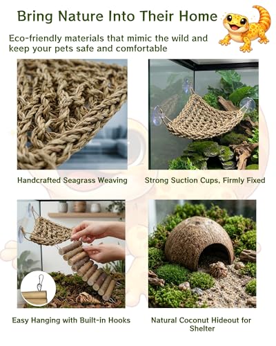 12-in-1 Hermit Crab Accessories Kit, 2026 New Kit for Bearded Dragon, Coconut Shell Hideout, Climbing Bridge, Hammock, Vines & Plants, Reptile Terrarium Decor for Gecko, Lizard, Amphibians