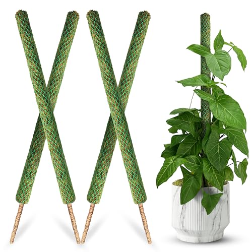 DUSPRO 4 Pack 25’’ Mesh Moss Pole for Climbing Plants, Natural Moss Pole Monstera Plant Support, Real Moss Poles for Plants Indoor, Moss Stick for House Plants, Moss Stakes for Climbing Plants - size: 25''